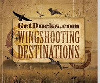 Getducks .com Wingshooting Destinations